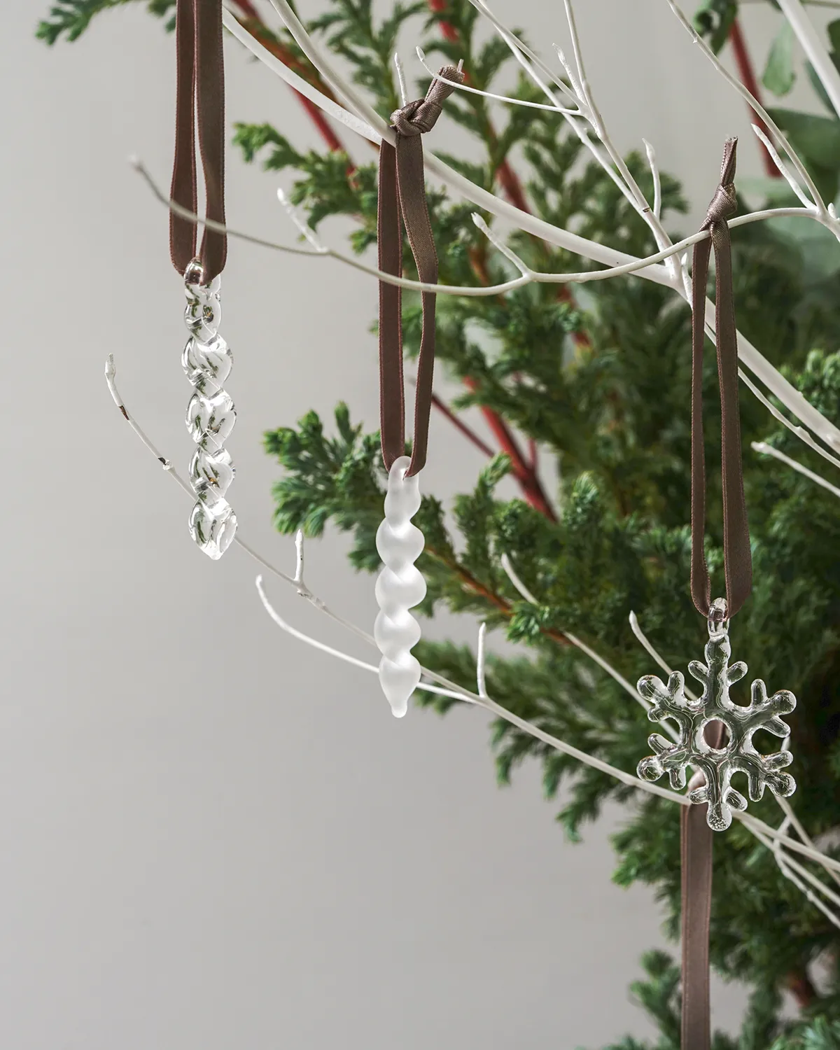 オーナメント サークル